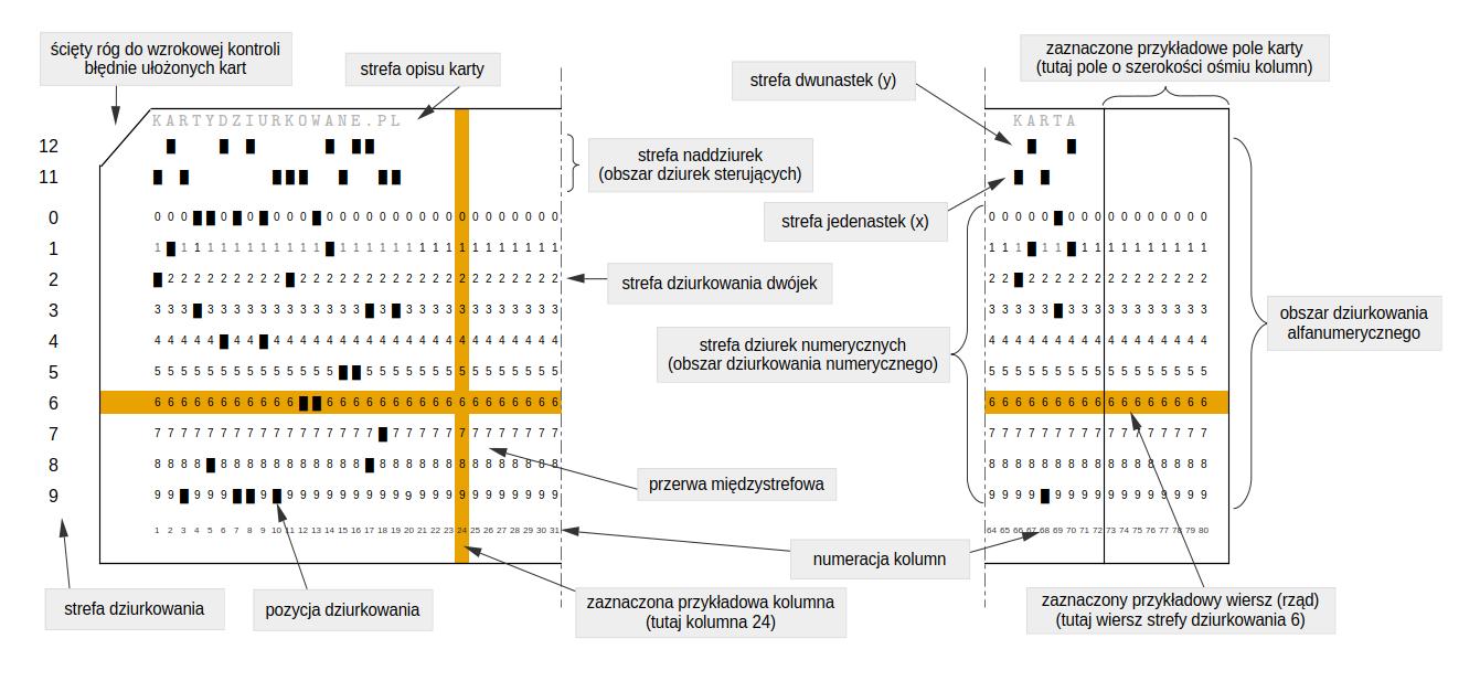 Schemat budowy karty perforowanej